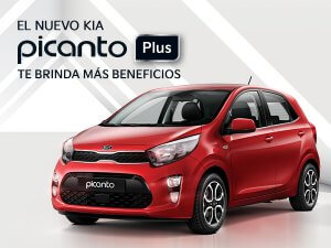 Picanto Plus