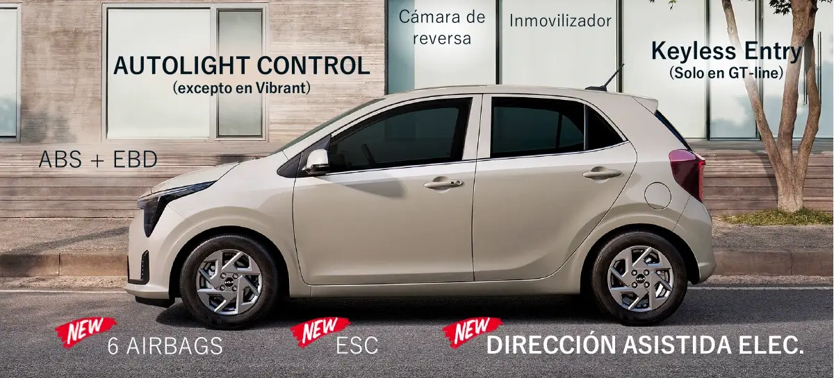 Seguridad Kia Picanto